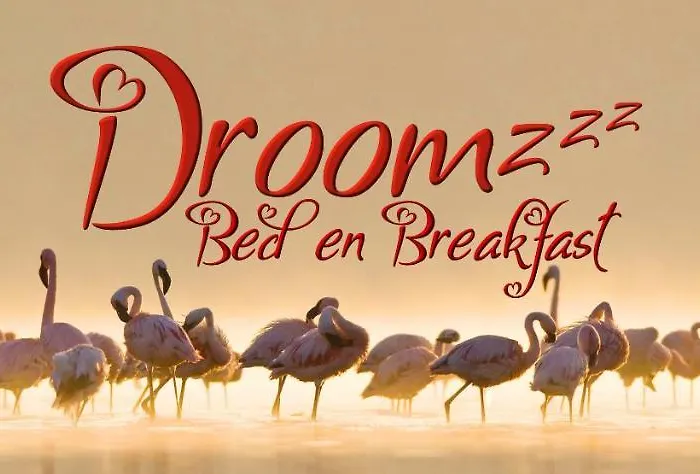 Droomzzz Herkenbosch