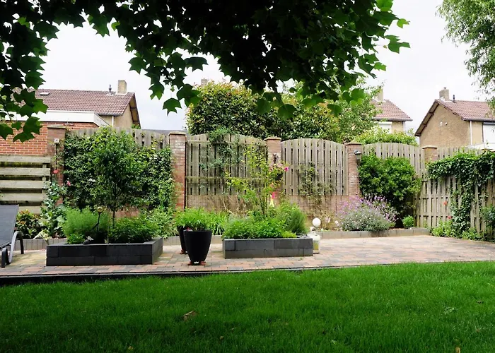 Bed & Breakfast Droomzzz 3*