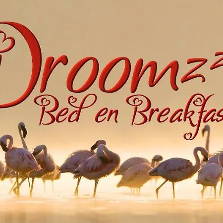 Droomzzz Herkenbosch