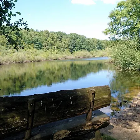 ベッド・アンド・ブレックファスト Droomzzz Herkenbosch