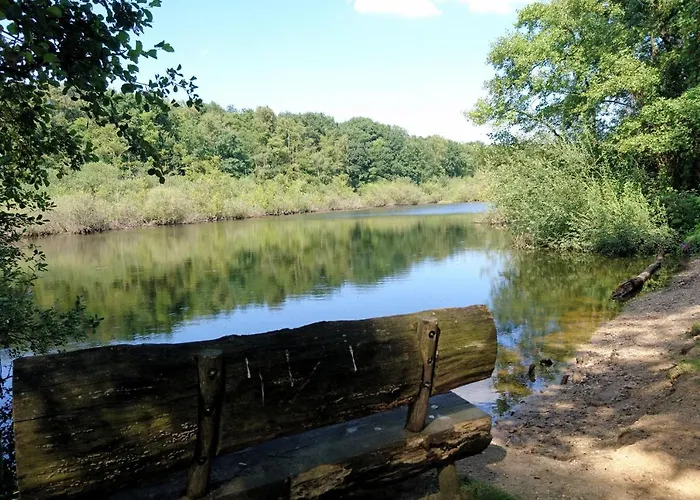 ベッド・アンド・ブレックファスト Droomzzz Herkenbosch