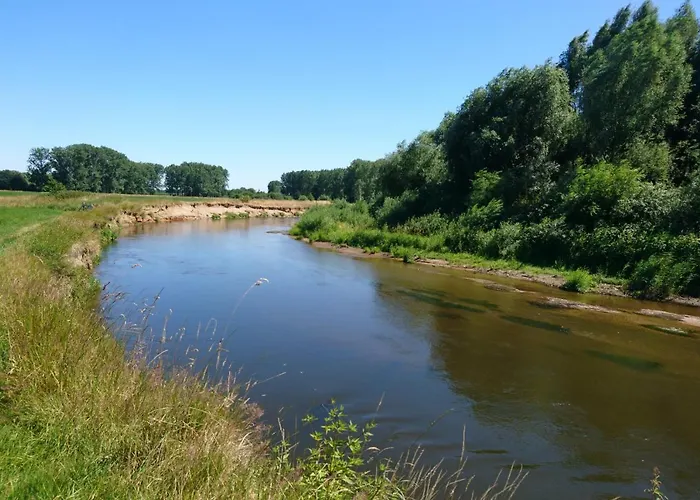 ベッド・アンド・ブレックファスト Droomzzz Herkenbosch